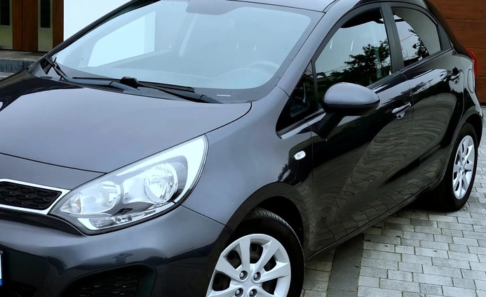 Kia Rio cena 23900 przebieg: 189000, rok produkcji 2011 z Sulęcin małe 742